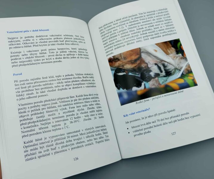 Knížka o českém strakatém psu Ukázka 2
